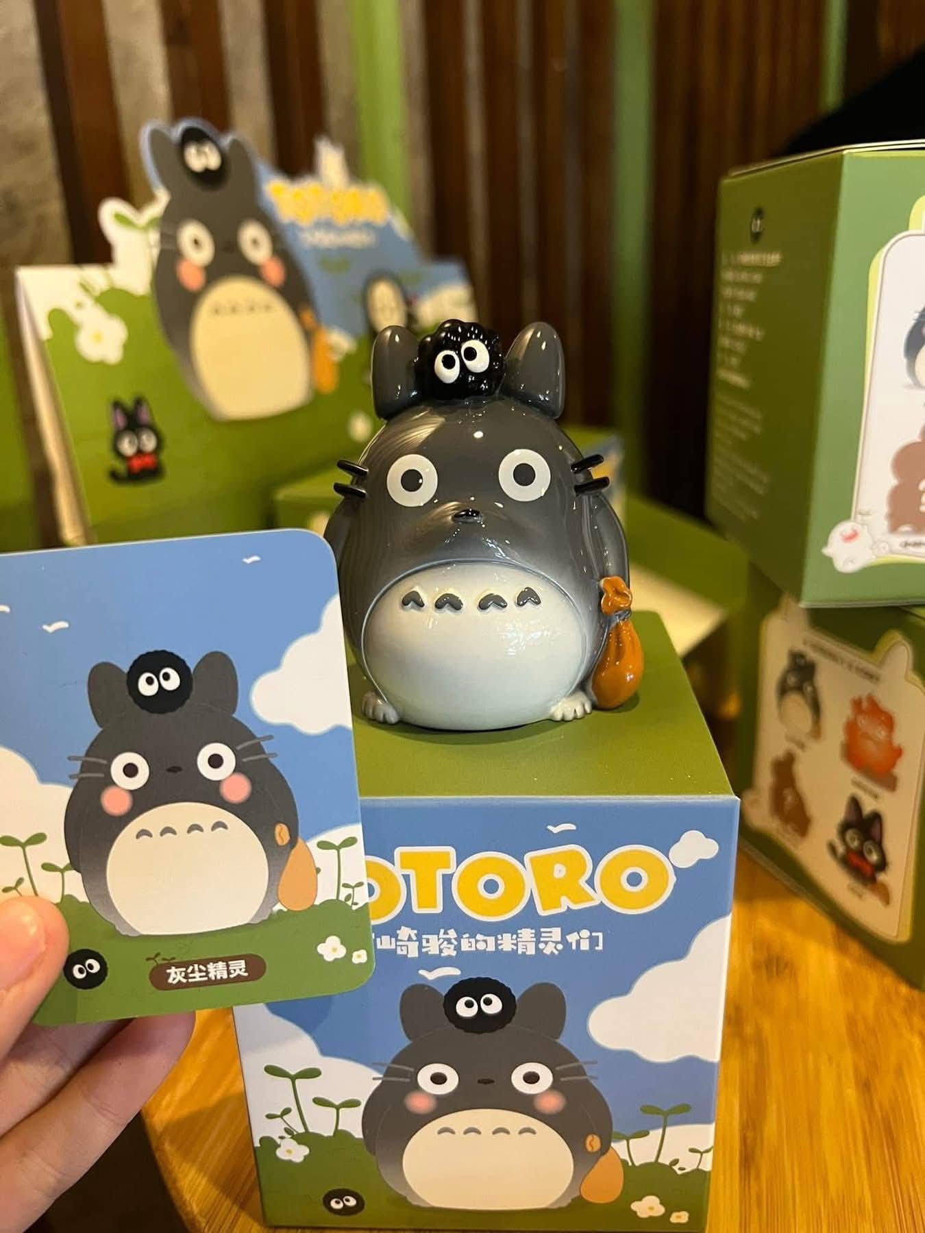Totoro set of 6 (Blind box)