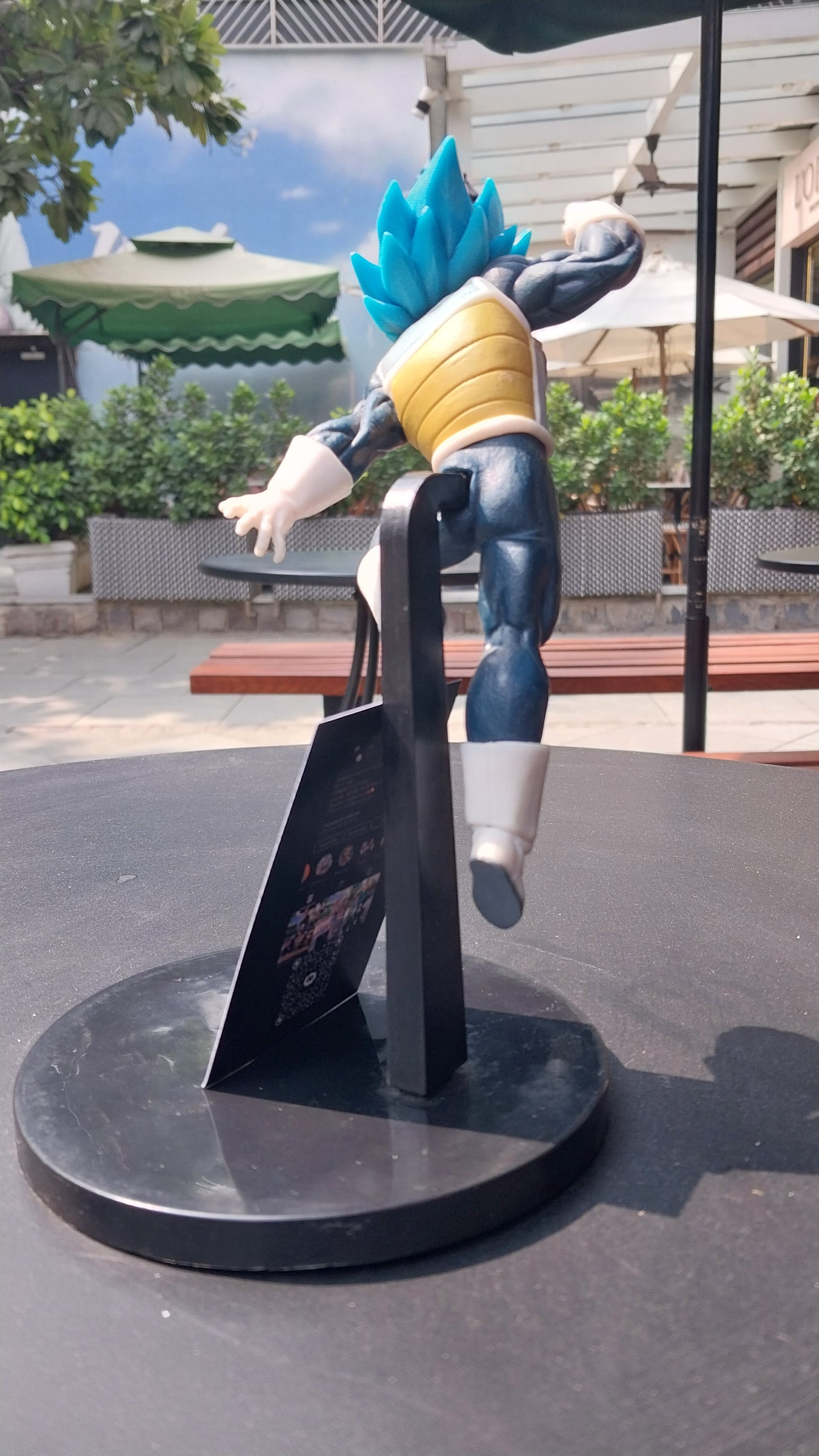 Vegeta super saiyan blue (DragonBall)