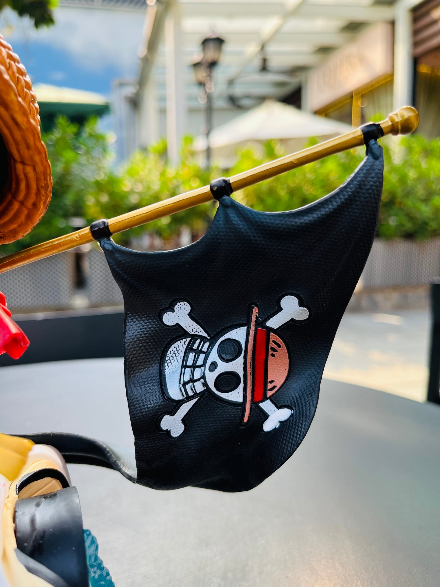 Luffy with thousand sunny (Onepiece)